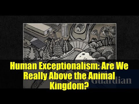 Human Exceptionalism: Are We Really Above the Animal Kingdom?