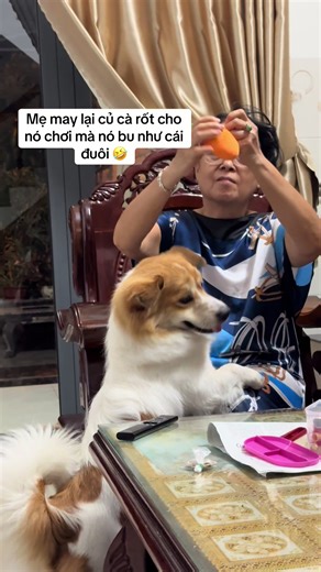 Bà Già Dặn Ăn Uống Mau Lớn & Sở Trường Báo Hiếu