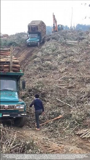 Tips for driving a fully loaded log truck down a steep hill