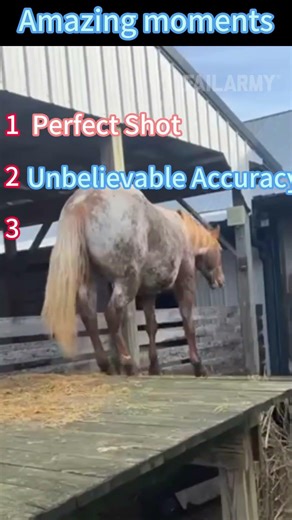 #illustration #tattoo #artting #pov #procreate #drawing #whydidntmyexcomeback #digitalart #pourtoi