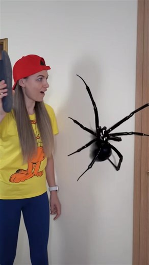 Giant spider attack in the house #shorts#funny