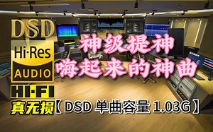 神级提神，嗨起来的神曲！DSD完整版，单曲容量1.03G【30万首精选真正DSD无损HIFI音乐，百万调音师制作】