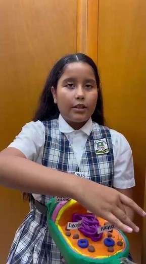 CÉLULA PROCARIOTA, Qué es, características, sus partes y en donde se encuentra.