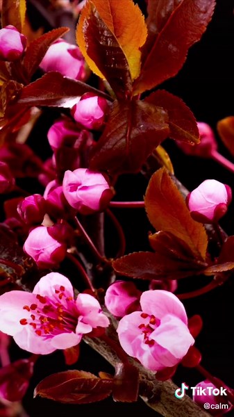 Neurons Firing Together: Understanding the Connection