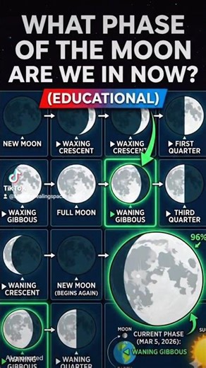 Tracking the Moon's Journey: A Guide to Lunar Phases #Waning Gibbous #zodiacsigns #moonphases