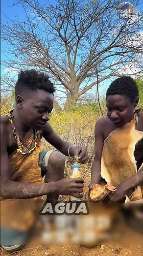 El árbol que salva vidas en África 🌍💧 | El increíble secreto del Baobab