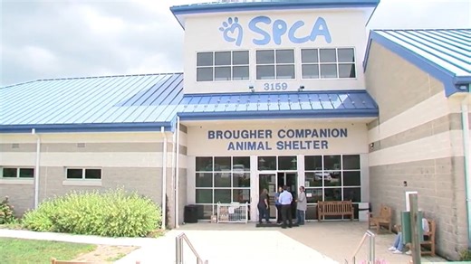 York County SPCA hires Humane Society police officer