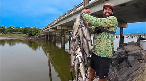 Catfish Frenzy as Lake Drains—Fishing the Final Days