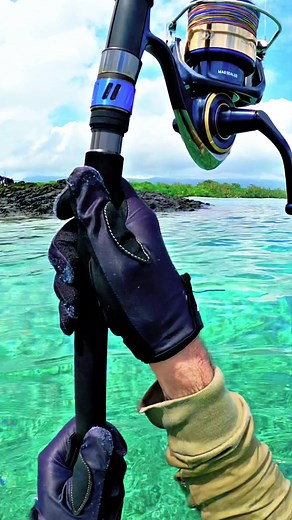 Swimming pool hook up 🏝️