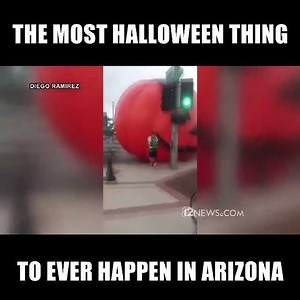 🎃 HAPPY HALLOWEEN! 🎃 Do you remember when this happened in 2015? Here's the story behind this viral Arizona video. http://12ne.ws/2eS5xW9 | 12News