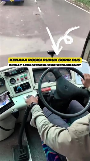 Bus Mania: Fakta Unik dan Perilaku Sopir di Jalan