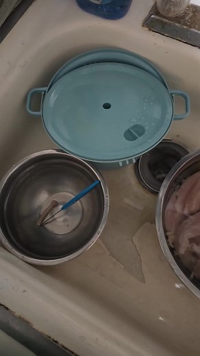 Understanding Chicken Parasites: Cooking Safety Tips