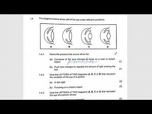 LIFE SCIENCES GRADE 12 |HUMAN EYE, ACCOMMODATION & PUPILLARY MECHANISM QNS| THUNDEREDUC: BY M SAIDI
