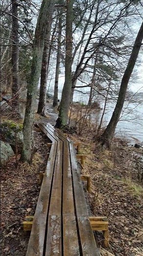 #panorama #파노라마뷰 #sweden #stockholm #drevviken #스웨덴 #스톡홀름 #드레비켄 #호수 #비오는아침 #호수뷰 #작은폭포 도 있음