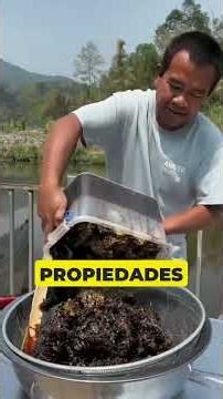 La miel más cara del mundo 🍯😱
