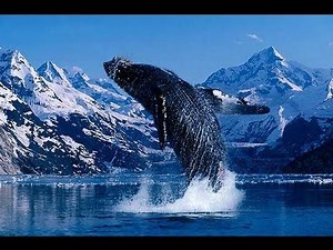 Our Incredible Beautiful World (Amazing nature footage and music)