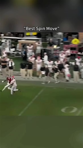 Top NFL Spin Moves of All Time