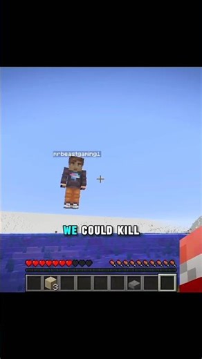 Technoblade Core ☠️ #minecraft #technoblade