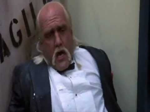 Hulk Hogan vs Undertaker