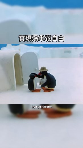 企鵝家族小劇場 | pingu跟pinga實現爆米花自由🍿 #pingu #企鵝家族 #企鵝 #搞笑 #影片 #可愛 #治癒 #meme #Penguin #🐧 | Instagram
