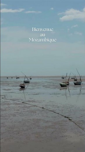 MOZAMBIQUE — Voyage entre terre sauvage et océan Indien