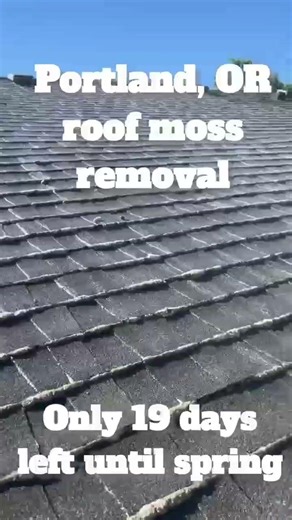 How do we know moss is dead after a roof soft wash?