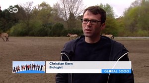 Preserving the world’s last wild horses