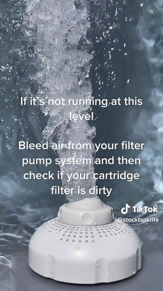 stocktanklife on TikTok