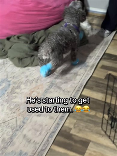 That high step! 😂😂 | irish step dancing