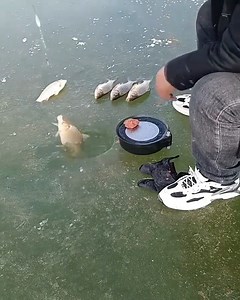 Amazing fishing on ice | Funny Videos