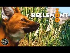 Building for Maned Wolves & Giant Anteaters in Planet Zoo! | Bellemont Zoo