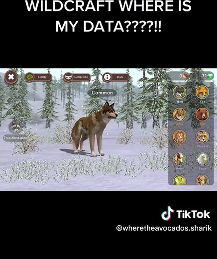 WildCraft Account Recovery and Game Tips