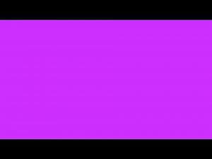 12 hours of Solid Neon Purple screen in 8k