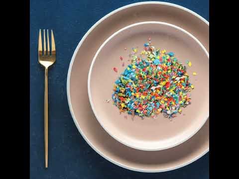 The Plastic Detox