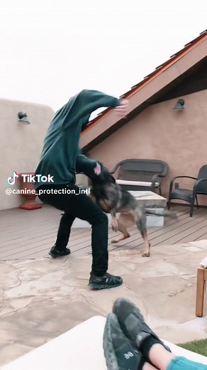 Canine Protection Intl. on TikTok