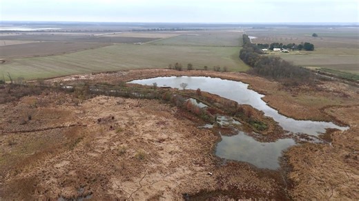 Wilson Auctioneers, Inc. on Instagram: "🌾🦆 ATTENTION FARMERS, DUCK & DEER HUNTERS, LAND BUYERS & INVESTORS! For the first time in over 100 years, the historic Martin Family Farm is hitting the market — 610± Acres of premium row crop, hunting, water, and timber… ALL SELLING AT PUBLIC AUCTION WITH NO RESERVE! 🚨610± ACRE ROW CROP FARM & HUNTING LAND – SELLS NO RESERVE! 🚨 STUTTGART, AR | Thursday, Feb. 26th, 2026 @ 11 AM CST 📍 Auction Location: Grand Prairie Center, 2807 US-165, Stuttgart, AR �