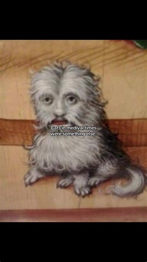 I laugh at these paintings all the time. #medival #cats #historytok #history #fypシ゚viral