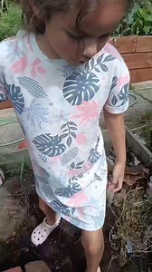 Today started in the worst way. I woke up late to Missy screaming and the back door open. I ran to the chicken run and found Snowy lying in her favorite spot, white feathers everywhere. Her body was still warm. Missy saw it happen. She kept crying that a hawk ate her—it was on Snowy and then flew over the back fence. Since Mr Grumpy was gone, every morning and during her free time Missy would go straight to the chicken coop, grab Snowy—her favorite chick—and bring her inside to feed her. That wa