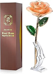 Sinvitron Gold Dipped Infinity Rose Forever Flower Decor, Resin Preserved Real Rose Birthday Gift for Women, Anniversary Present for Mom (Pink)