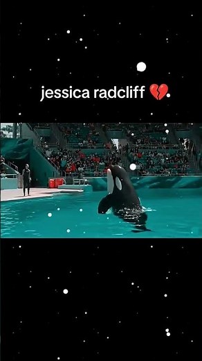 The Last of the Sea Giants: Jessica the Orca😥😥