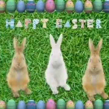 happy easter bunny dance