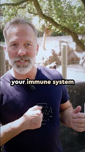 Why Do Gorillas Beat Their Chests?