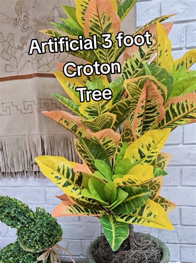 This is for the girl that kills everything. Perfect for all year round. Indoors or outside. Good colors, heavy pot with green grass. Pot can be used just as is or add a bigger one. This is a 3 foot Croton. #artificialplant #plantsoftiktok #plantlover #tiktokshopcreatorpicks #fakeplants