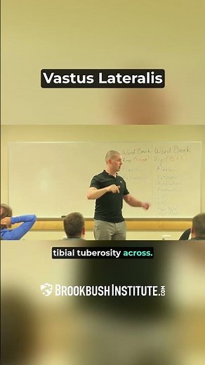 Vastus Lateralis