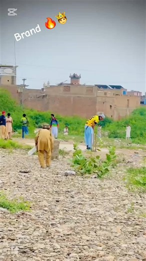 🦅#Wolves #Viralvideo #Viraltiktok