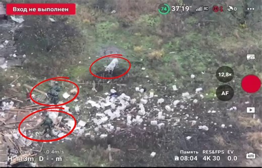 Pig saves Russian soldiers by accidentally stepping on landmine seconds before them