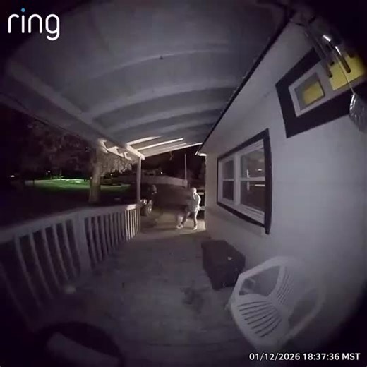 my girlfriend coming home with her hands full