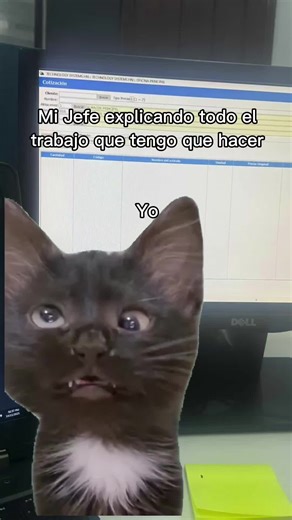 Entendiendo la Tecnología ERP a través de Memes