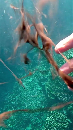 Swimming Through Octopus Ink! 🐙