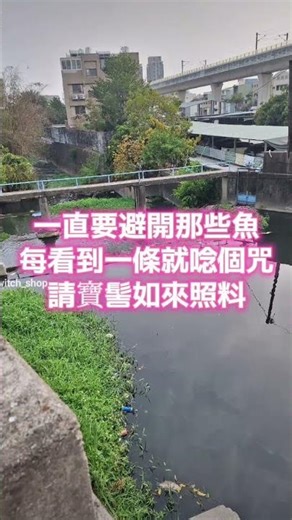 The 100-Kuo Project... forgot how many, whatever 😂 #fishing #lurefishing #tilapia #Omurafishingta...